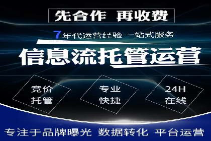 搜索引擎营销（SEM）成功案例详解